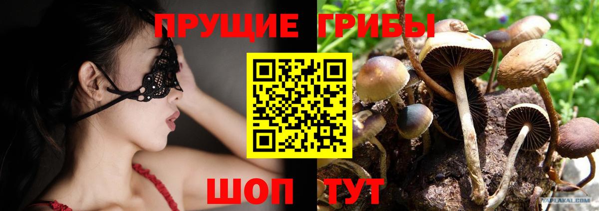 Псилоцибиновые грибы ЛСД Среднеуральск